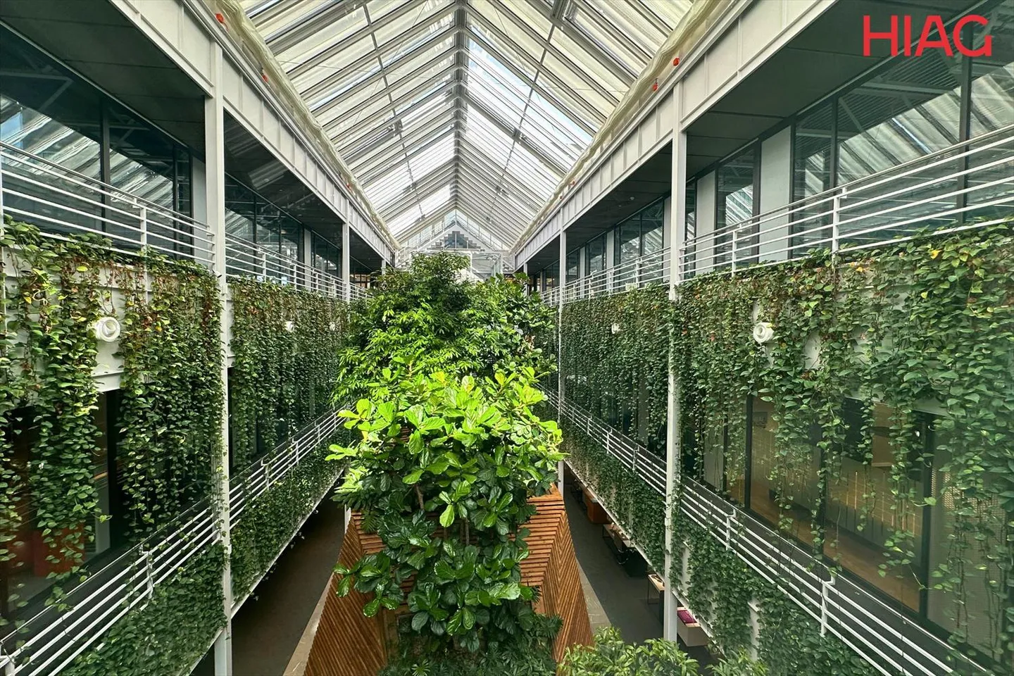 For rent, semi-industrial spaces in Meyrin at The Hive Campus. - Photo 2 of 6