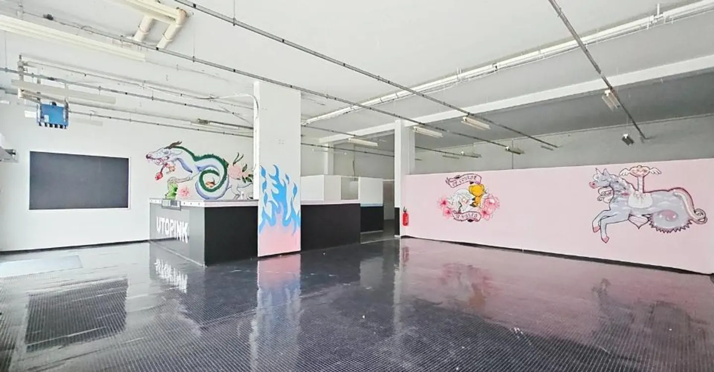 Espace Commercial Spacieux - Photo 3 sur 9
