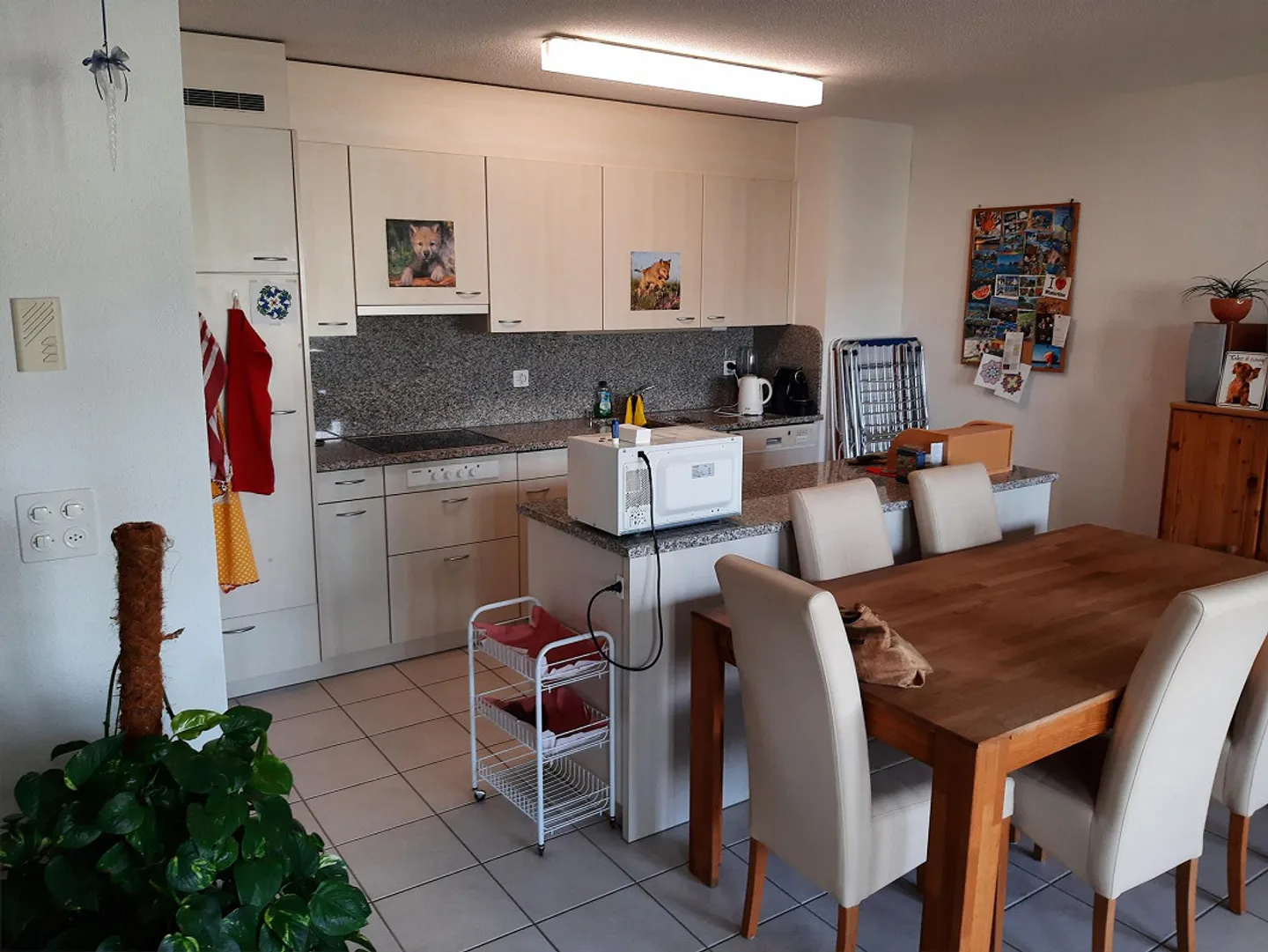 Charmante Wohnung in Winterthur - Foto 2 von 8