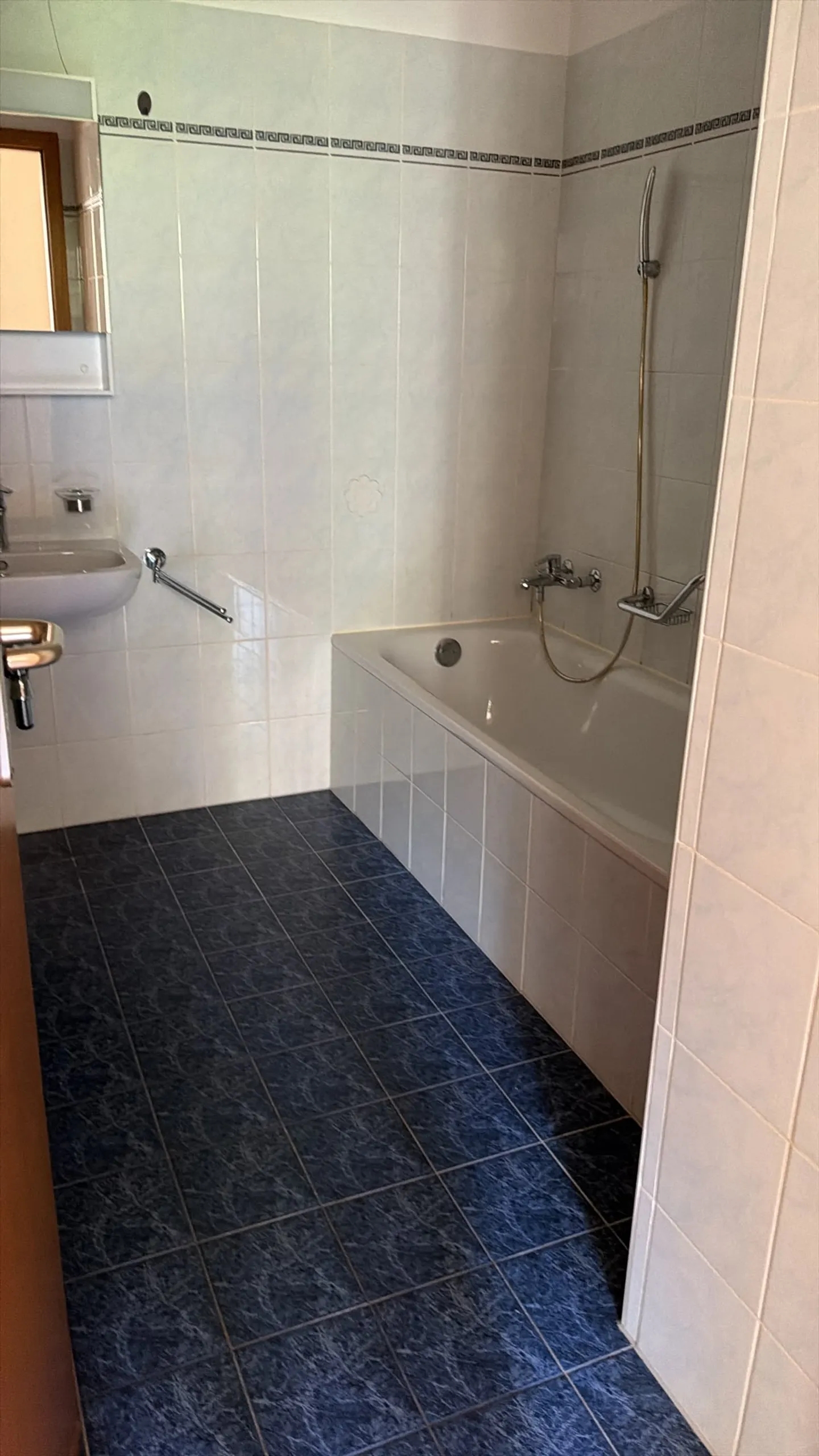 Erdgeschosswohnung in Lugano - Foto 9 von 10