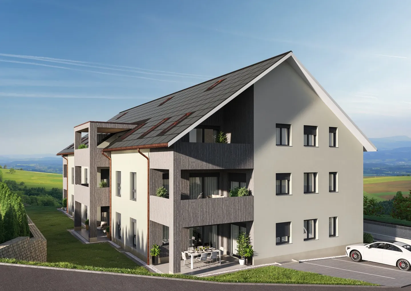 Nuovo progetto di costruzione: Spazio residenziale Gansingen - Foto 2 di 5