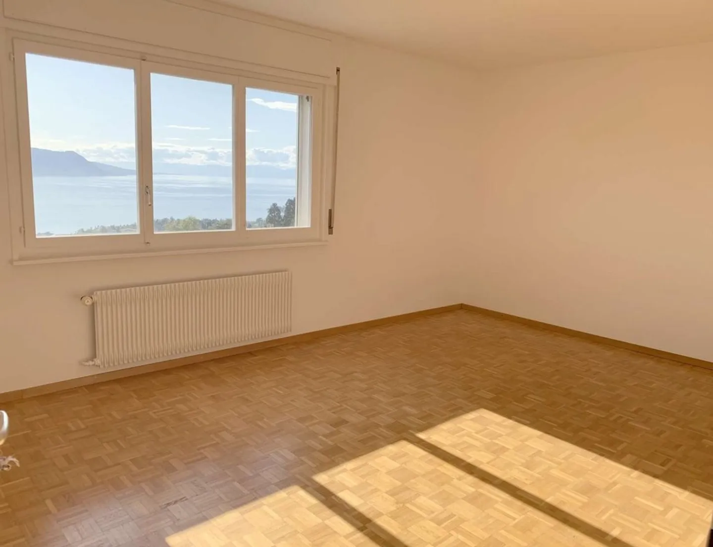 Vista mozzafiato sul Lago di Ginevra, 4.5 stanze di 105 m2 - Foto 3 di 11