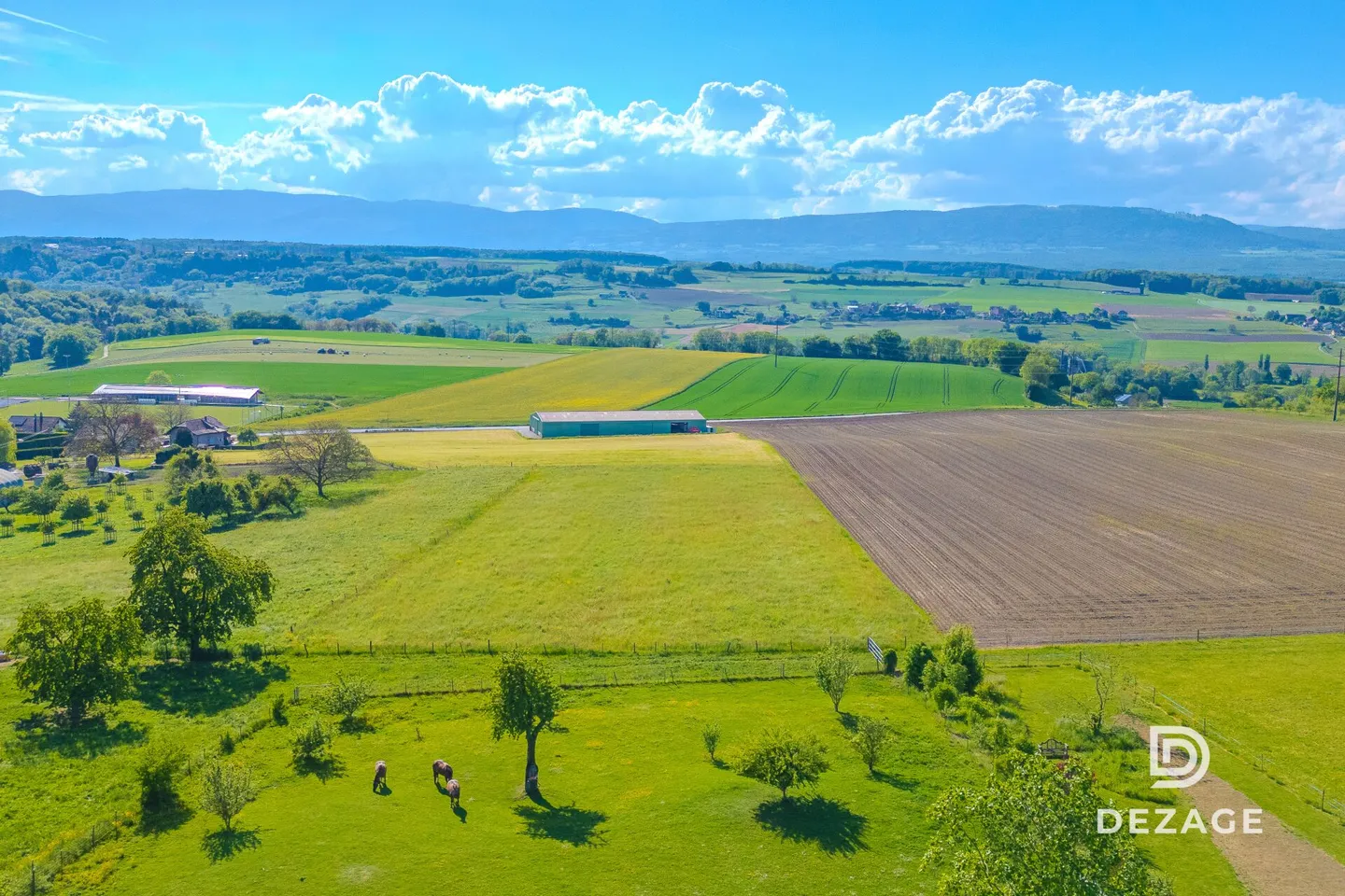 Domaine di 6'440 m² a 15 minuti da Losanna - Foto 14 di 14