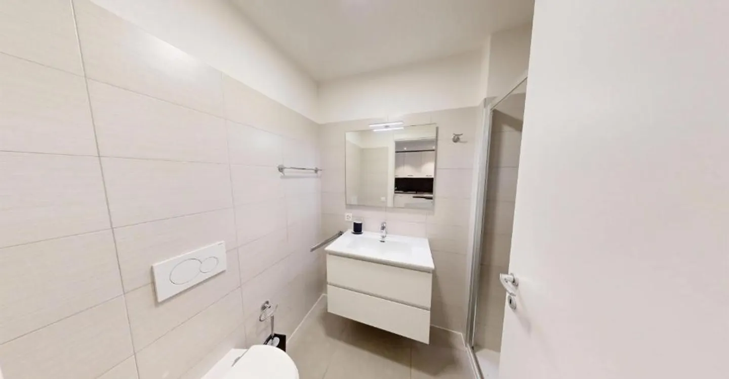 Modern Apartment with Private Garden 10 Minutes from Bellinzona - Photo 8 of 9