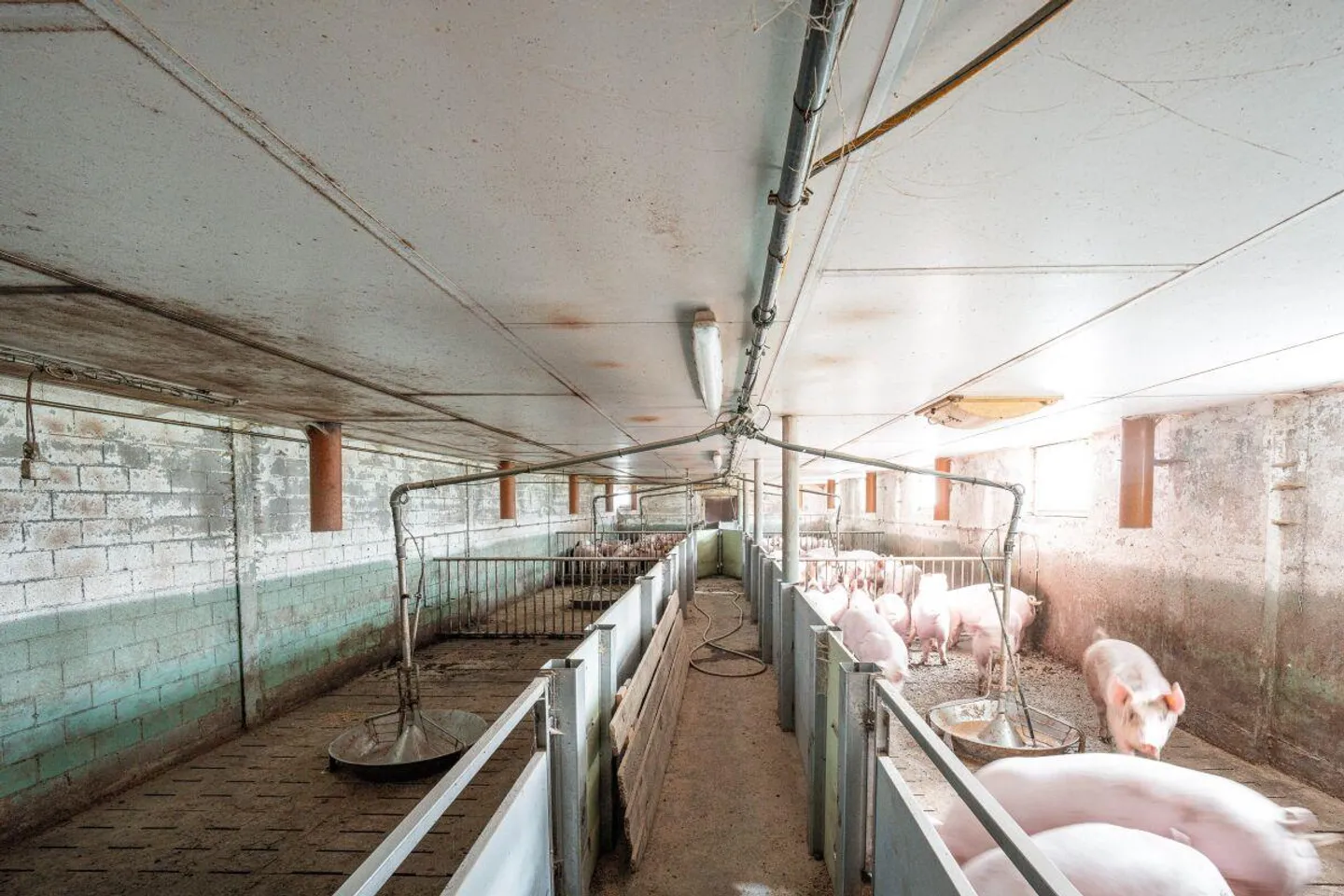 Residential and commercial building with outbuildings - Photo 9 of 11