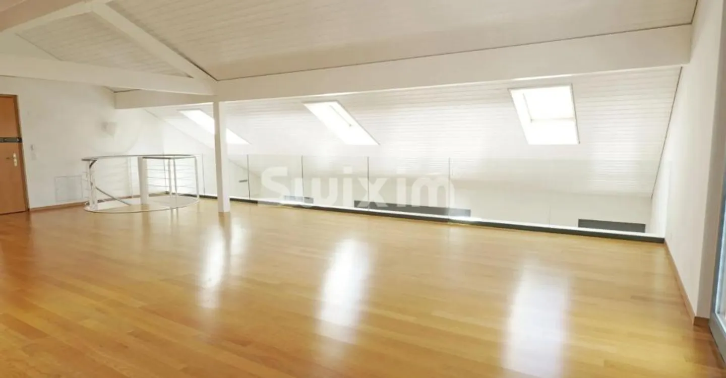 Wunderschöne Penthouse mit großzügigen Volumen - Foto 5 von 9