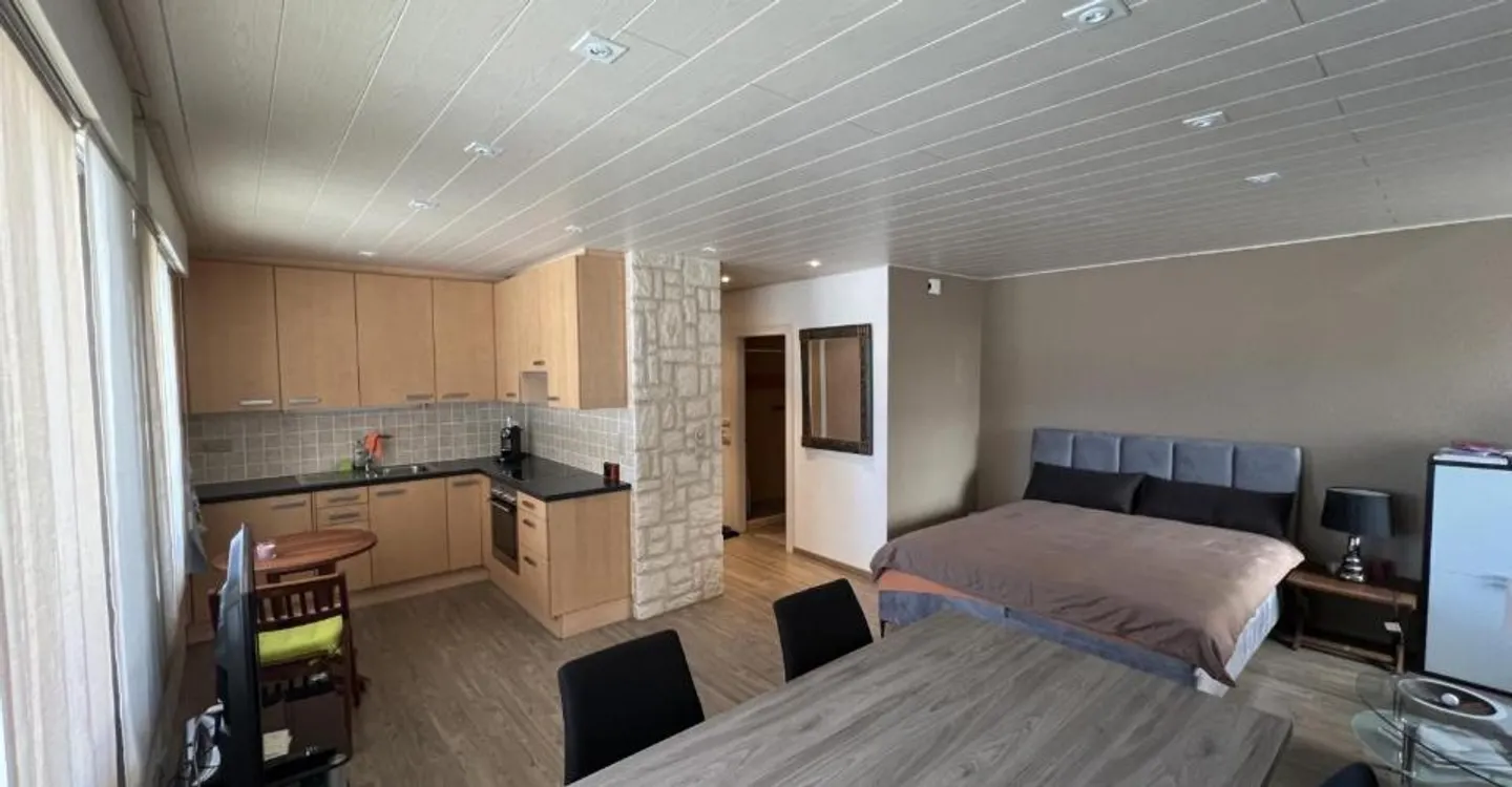 Grande studio completamente ristrutturato vicino al centro di Montana - Foto 1 di 7