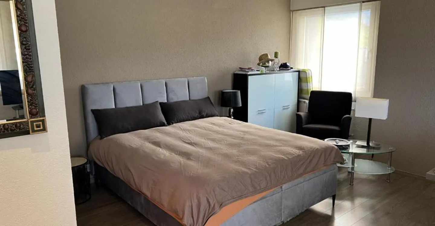 Grande studio completamente ristrutturato vicino al centro di Montana - Foto 5 di 7
