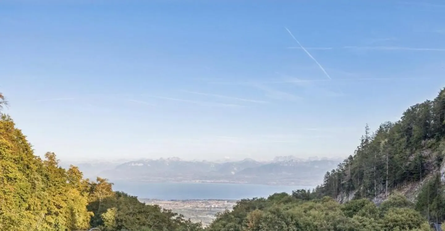 Beautiful opportunity - Quality, tranquility and view of Lake Geneva and the Alps - Photo 5 of 11