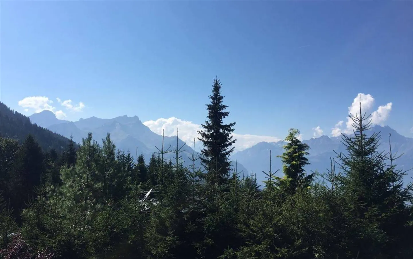 Einzelvilla 4 Zimmer in Villars-sur-Ollon - Foto 8 von 8