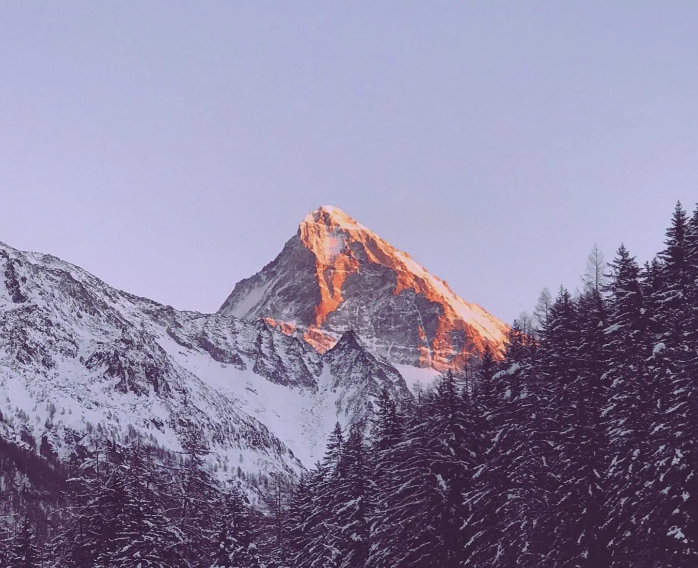 Appartamento 2.5 locali - Foto 9 di 12