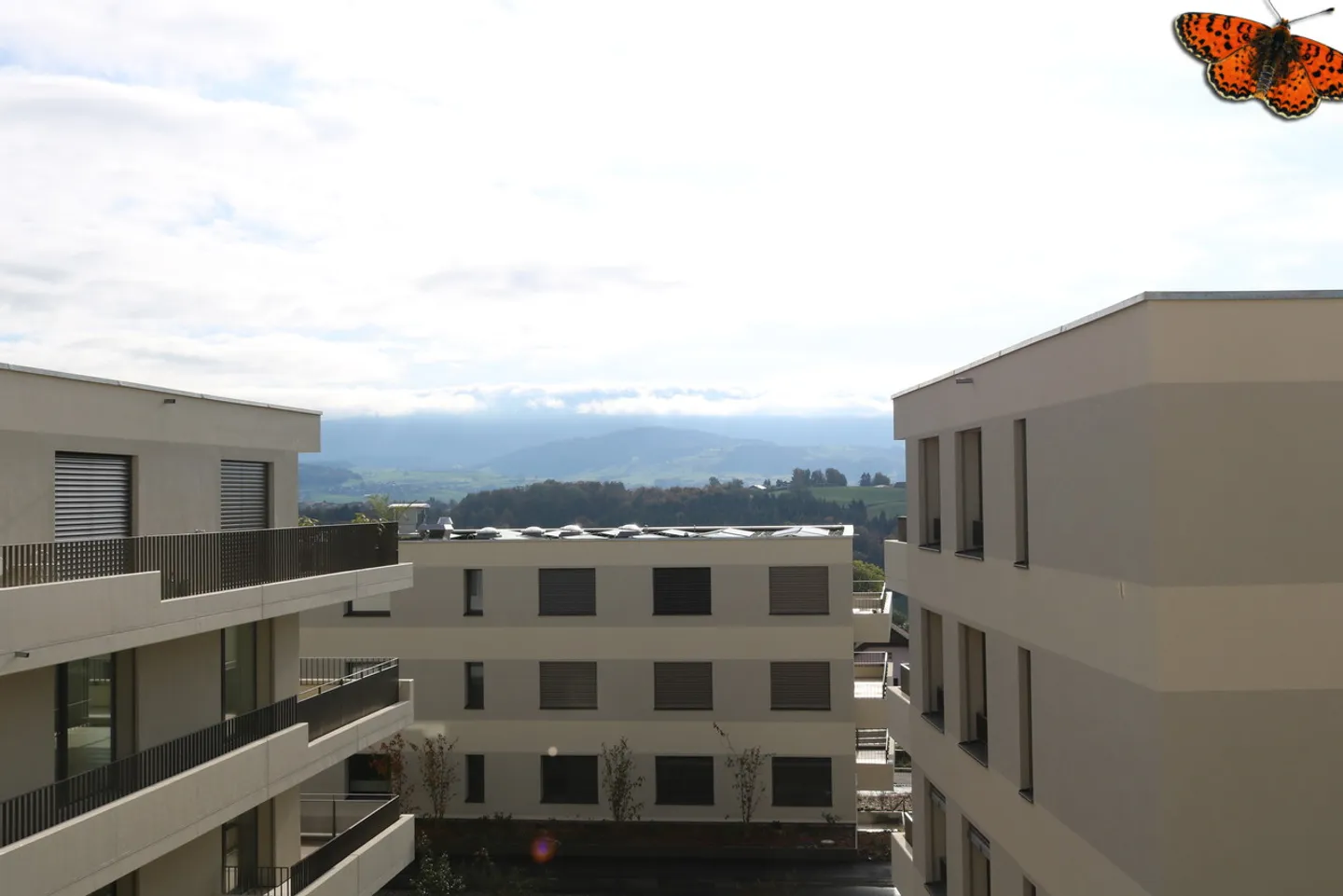 3 ½ PIÈCES - Avec balcon - Photo 5 sur 10