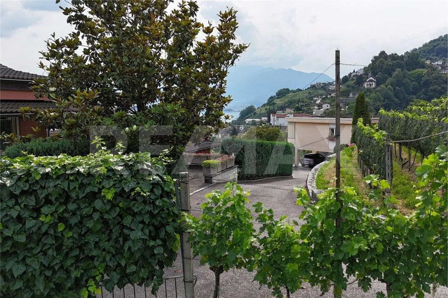 Terreno con progetto di massima - Foto 7 di 12