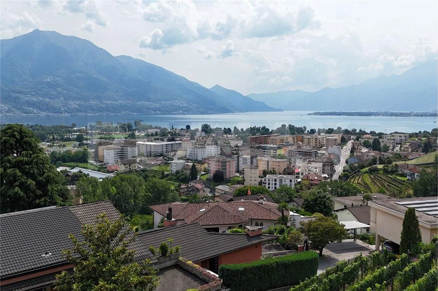 Terreno con progetto di massima - Foto 4 di 12