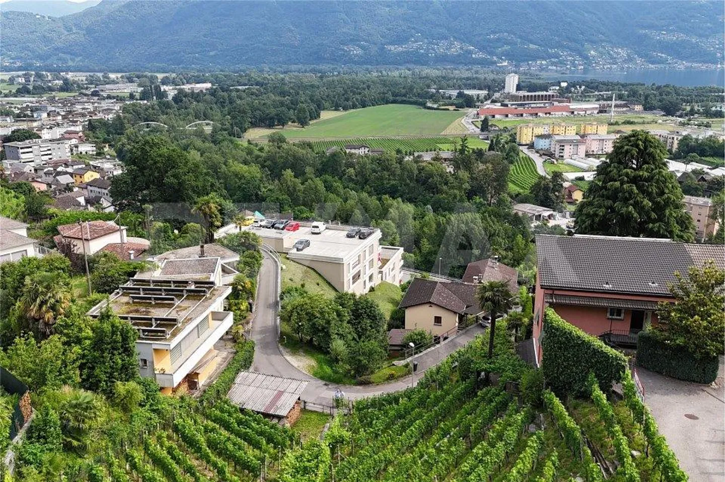 Terreno con progetto di massima - Foto 8 di 12