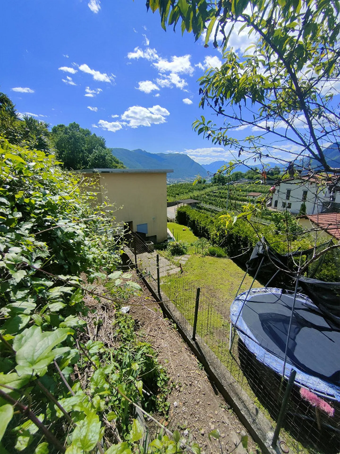 Single-family house with garden, on a hill in Giubiasco - Photo 5 of 19
