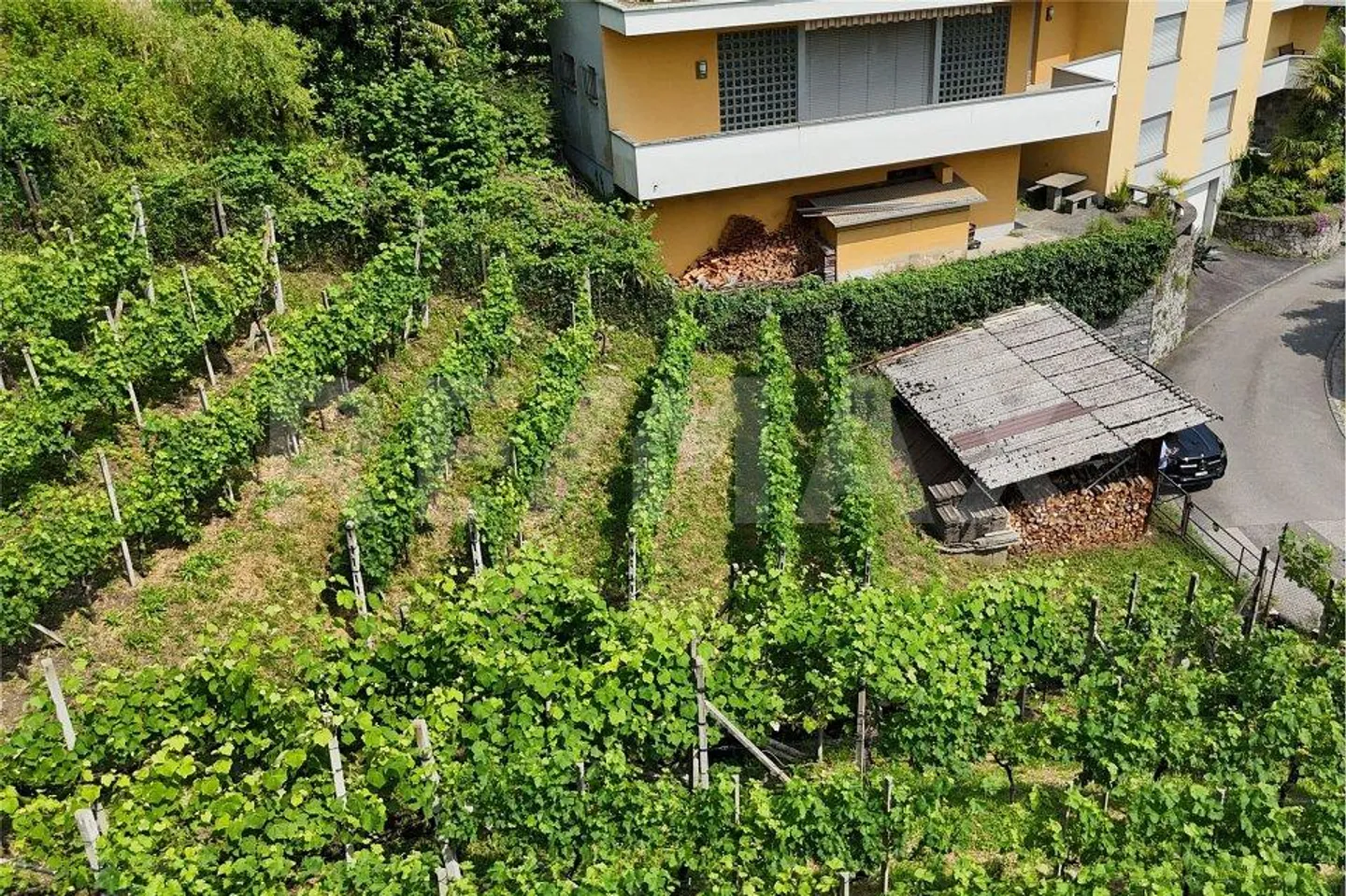 Terreno con progetto di massima - Foto 10 di 12