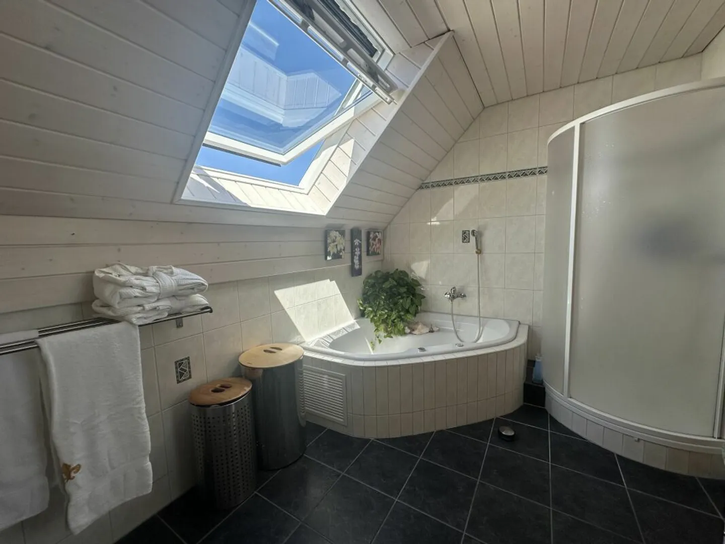 Charming Family Villa with Garage - Photo 17 of 29