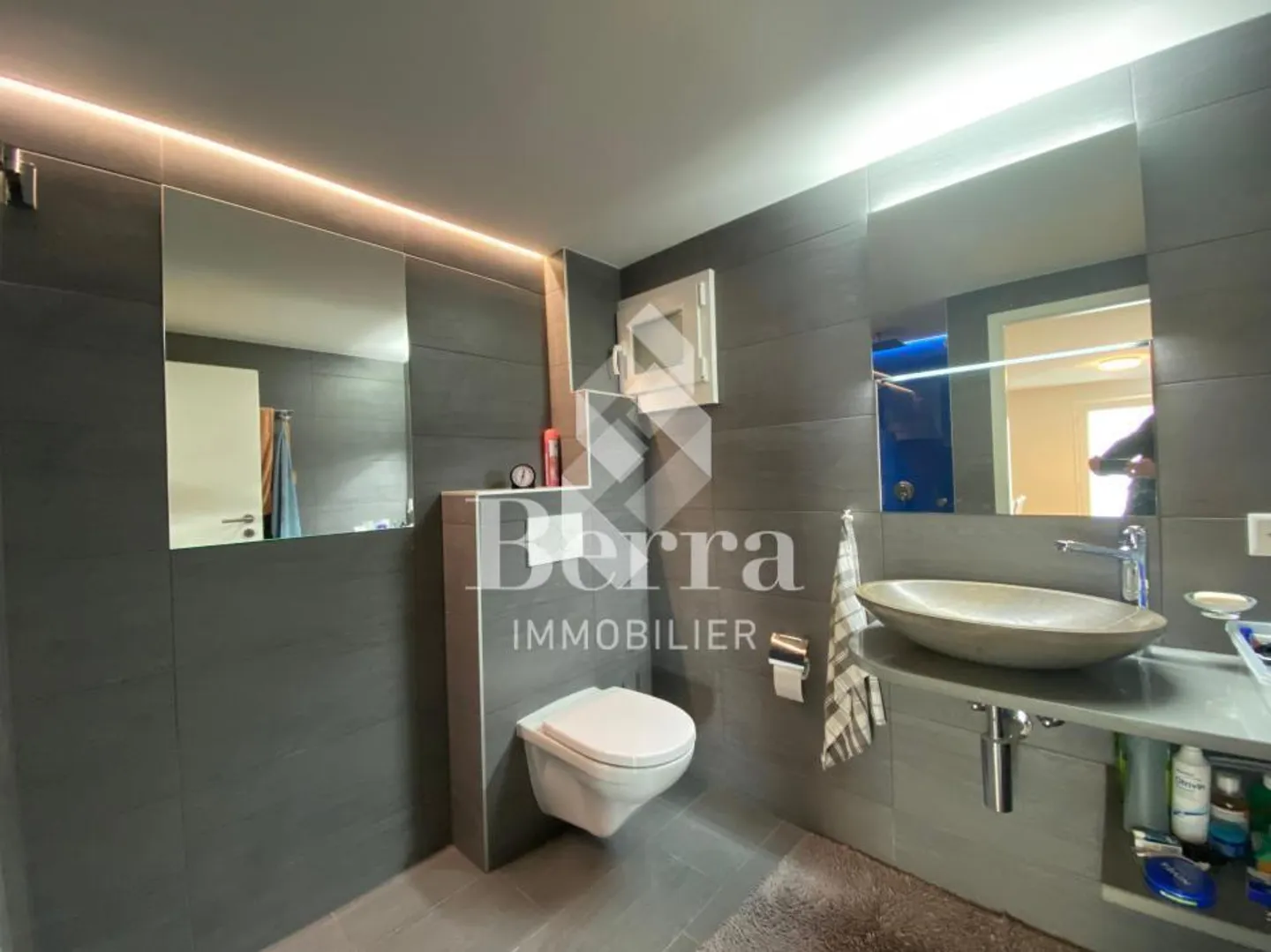 Superb renovated chalet with independent studio and panoramic view of Lake Léma - Photo 11 of 14