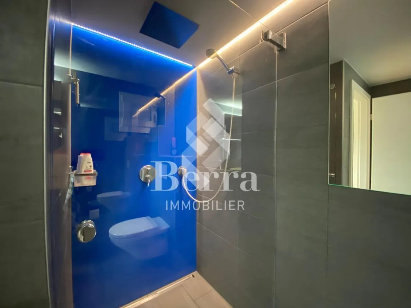 Superb renovated chalet with independent studio and panoramic view of Lake Léma - Photo 12 of 14