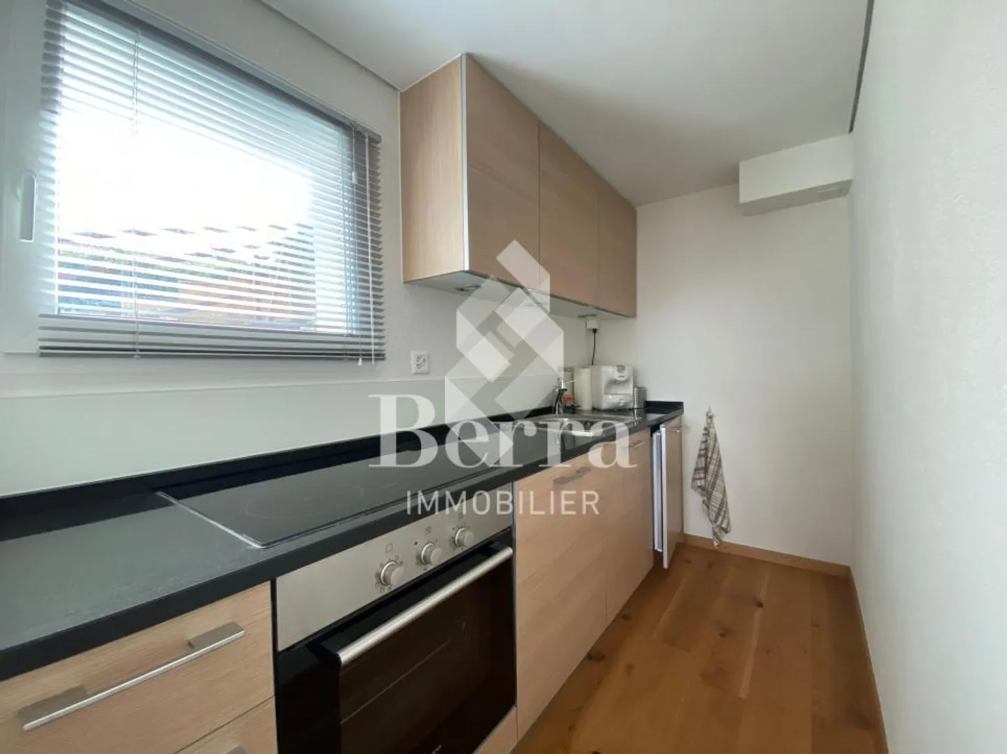 Superb renovated chalet with independent studio and panoramic view of Lake Léma - Photo 8 of 14