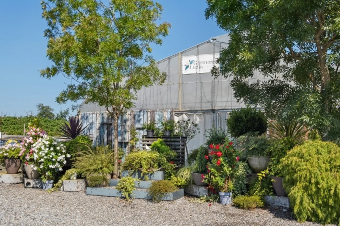 DOVE IL FASCINO RUSTICO INCONTRA UN GRANDE POTENZIALE - Foto 7 di 8