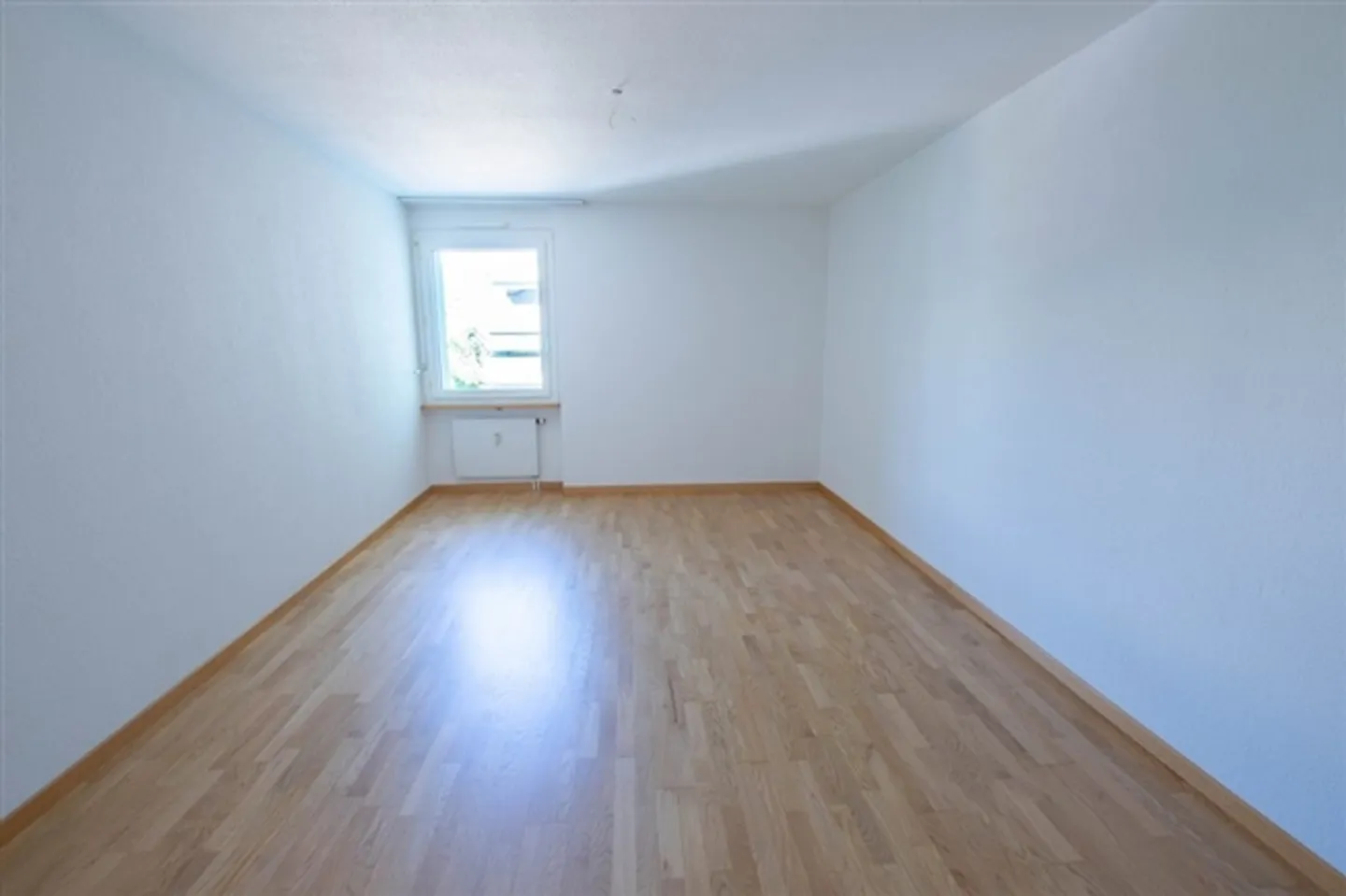 Ampio appartamento di 2,5 locali a Belp - Foto 4 di 8