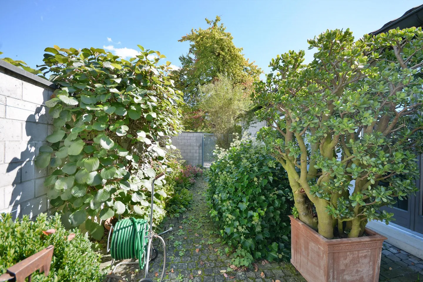 ARCHITECTURE & EMPLACEMENT à ARBOR FELIX, convaincant pour les familles et les couples. - Photo 7 sur 22