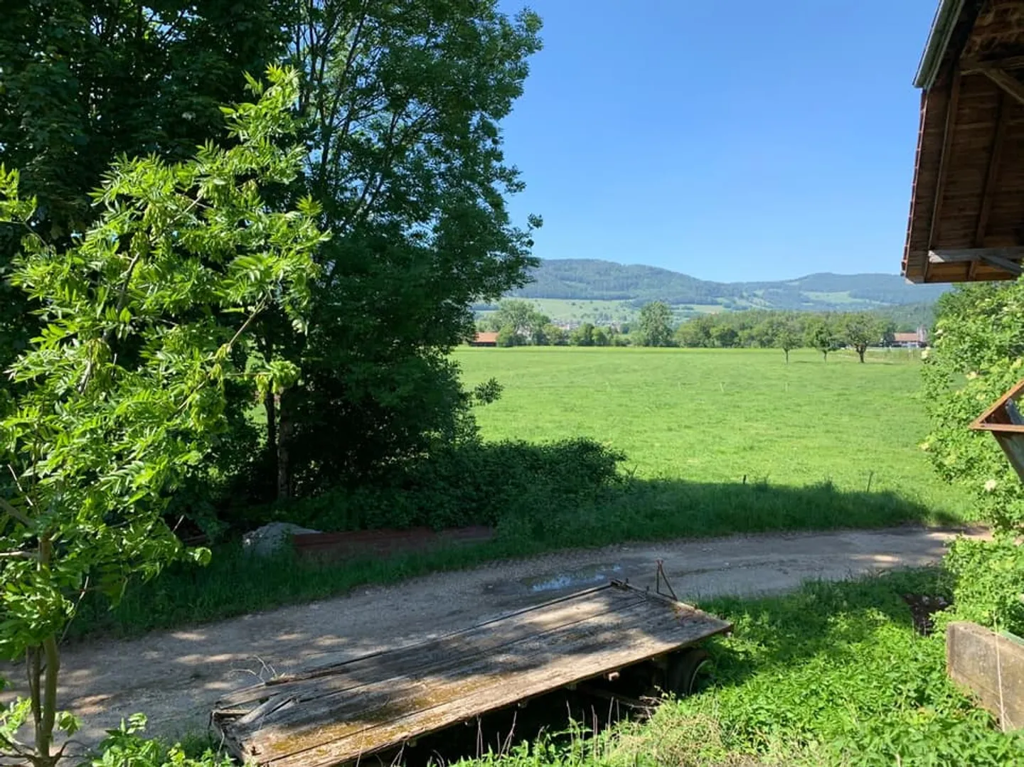 Building land on the edge of agricultural zone - Photo 3 of 5