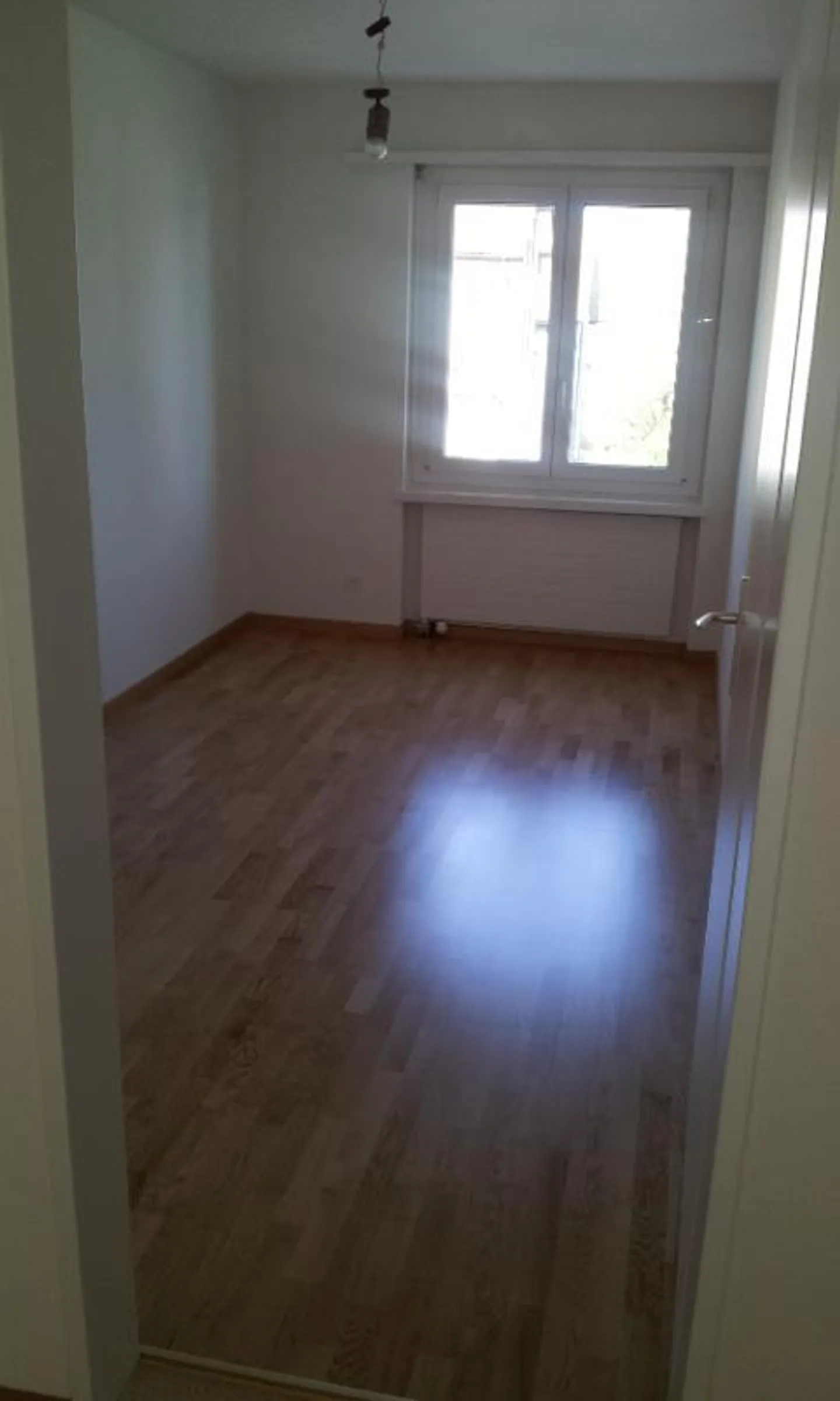 Geräumige Wohnung in Thalwil - Foto 5 von 5