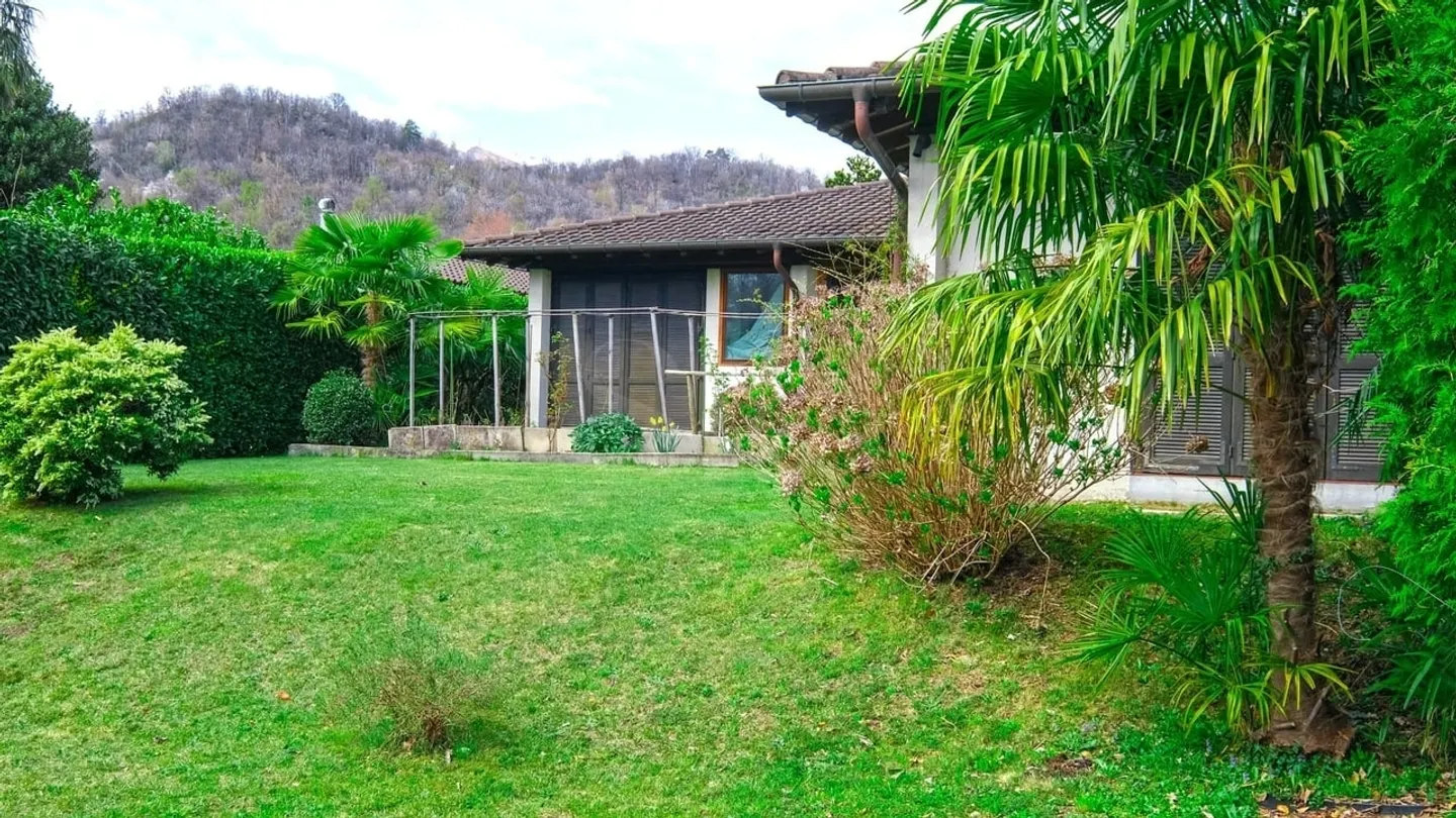 Building Plot in Origlio - Photo 10 of 10