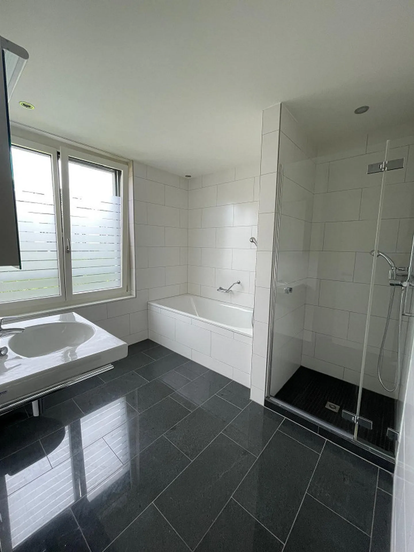 Stäfa (Zürisee): arredato, 72m2, nuovo, balcone, terrazza, garage, giardino - Foto 7 di 7