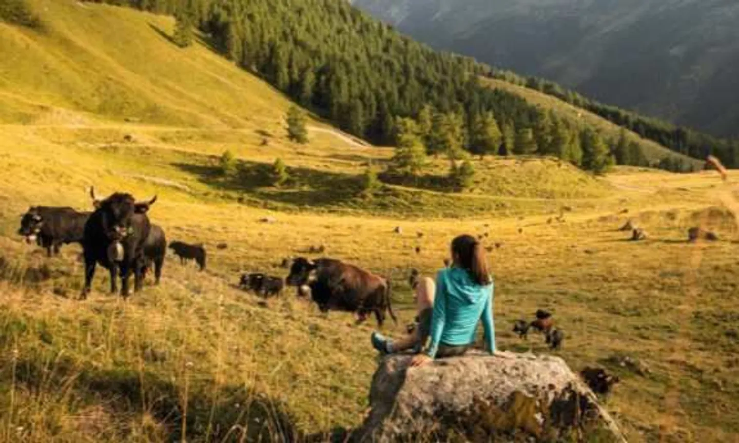 Appartement à vendre - Photo 13 sur 13