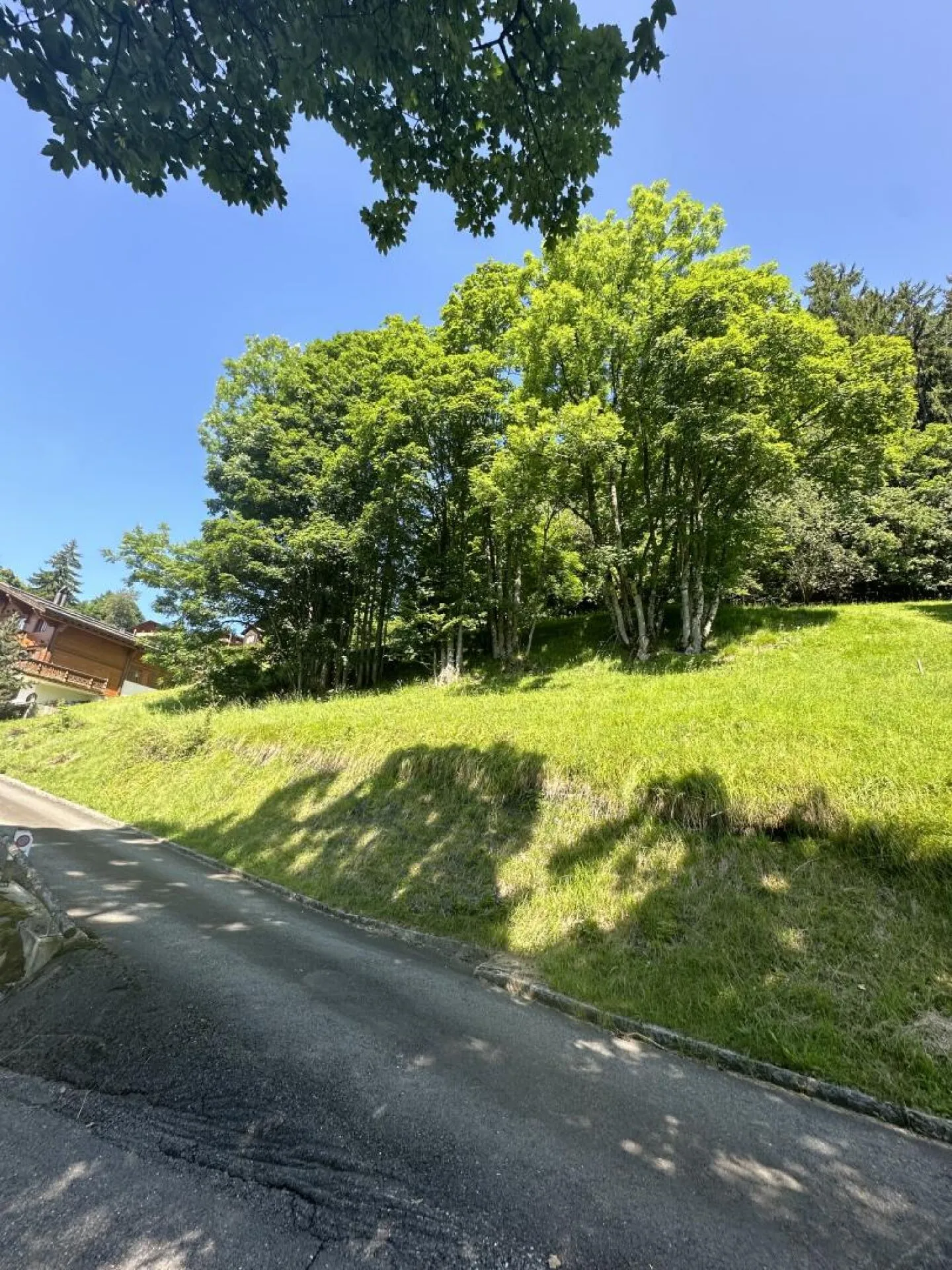 Terrain à bâtir à Chesières - Photo 2 sur 6