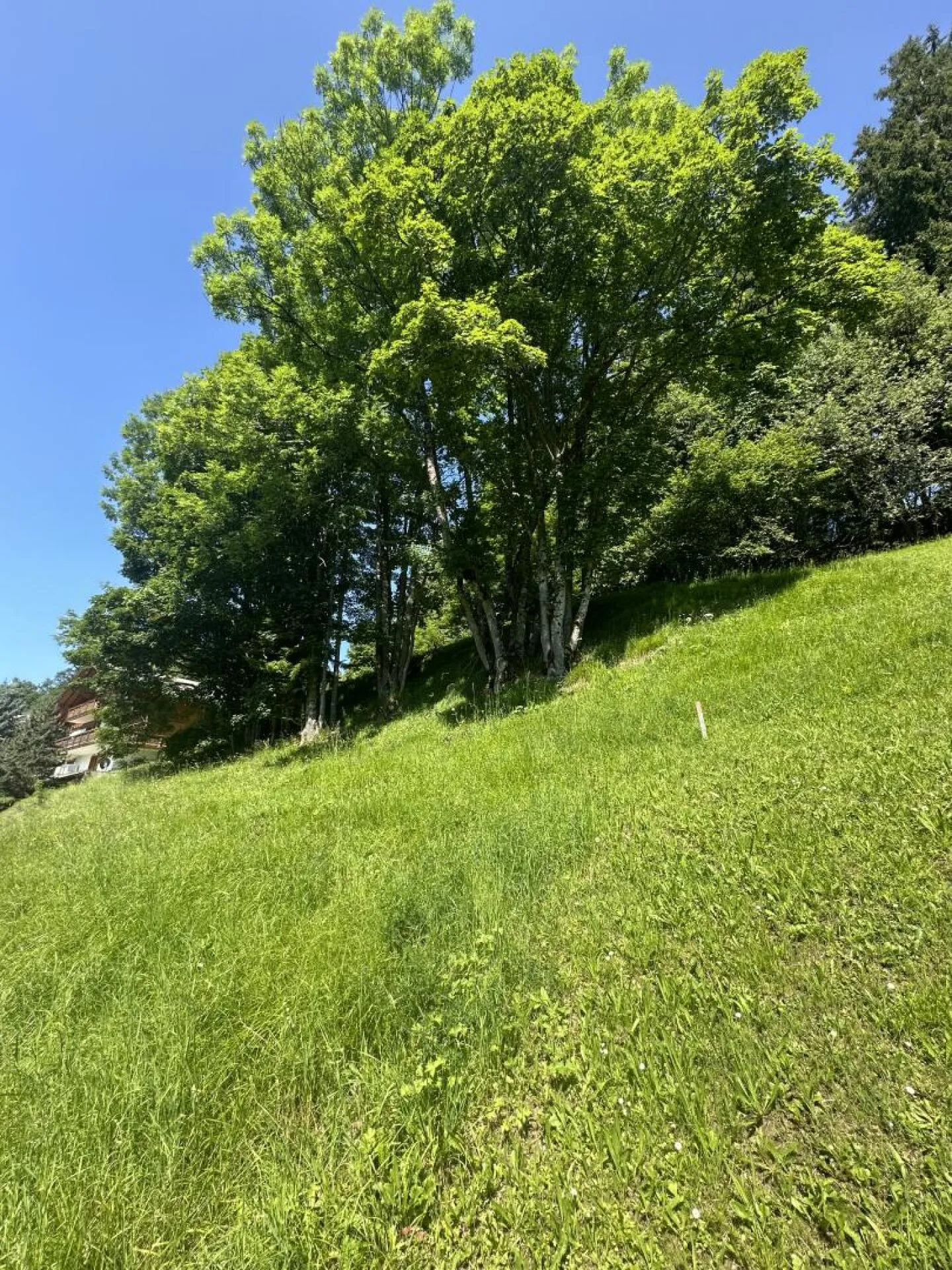 Terrain à bâtir à Chesières - Photo 4 sur 6