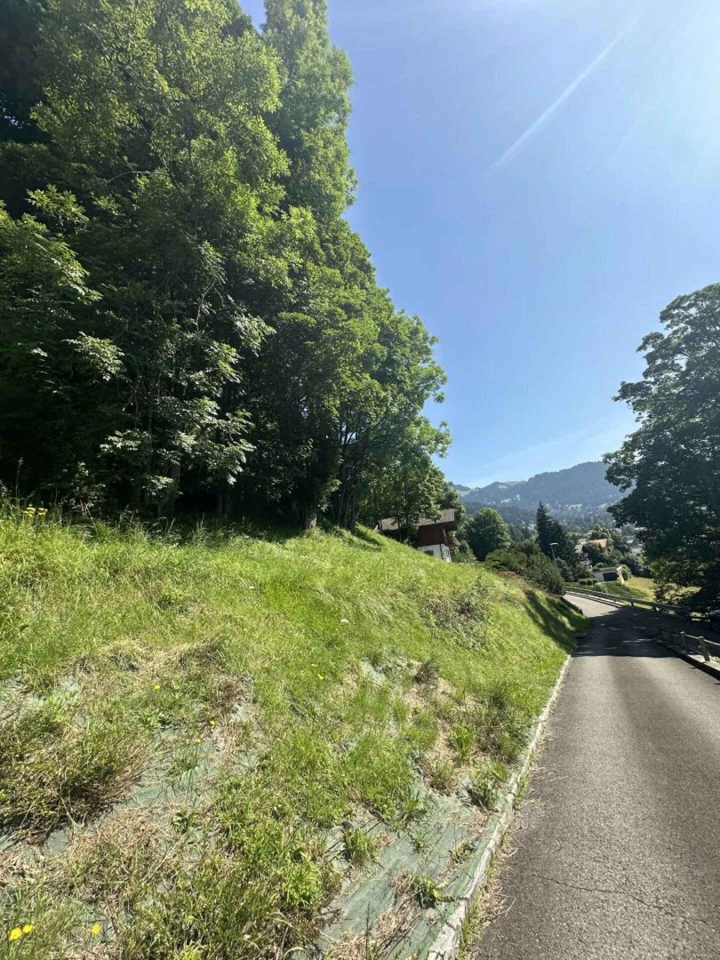 Terrain à bâtir à Chesières - Photo 6 sur 6