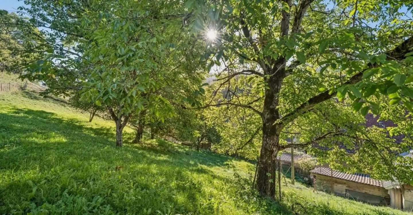 Protected Property for Renovation - with Land Reserves - Photo 3 of 7