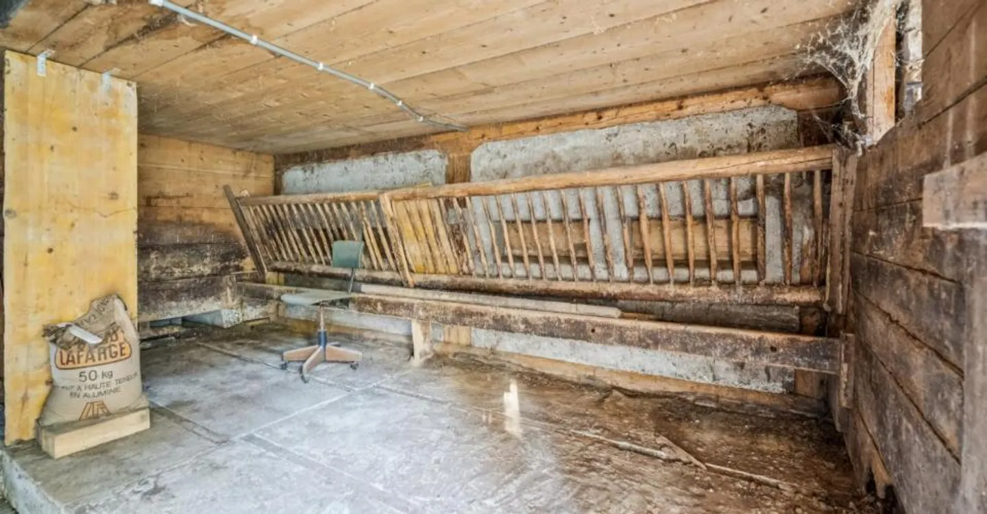 Protected Property for Renovation - with Land Reserves - Photo 6 of 7