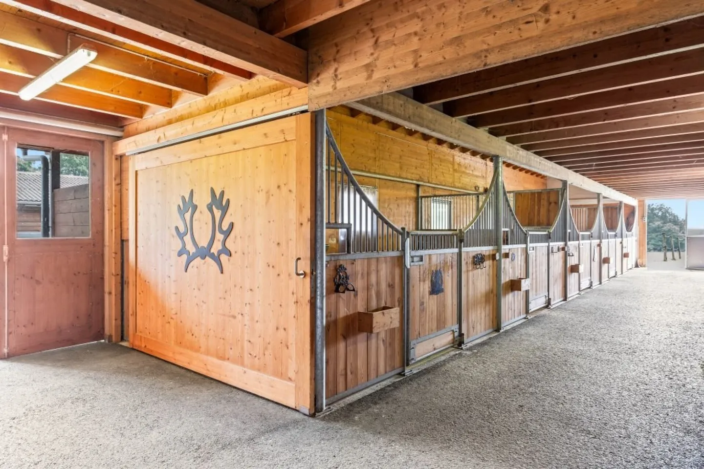 Proprietà equestre unica e seminari con cavalli - Foto 3 di 18