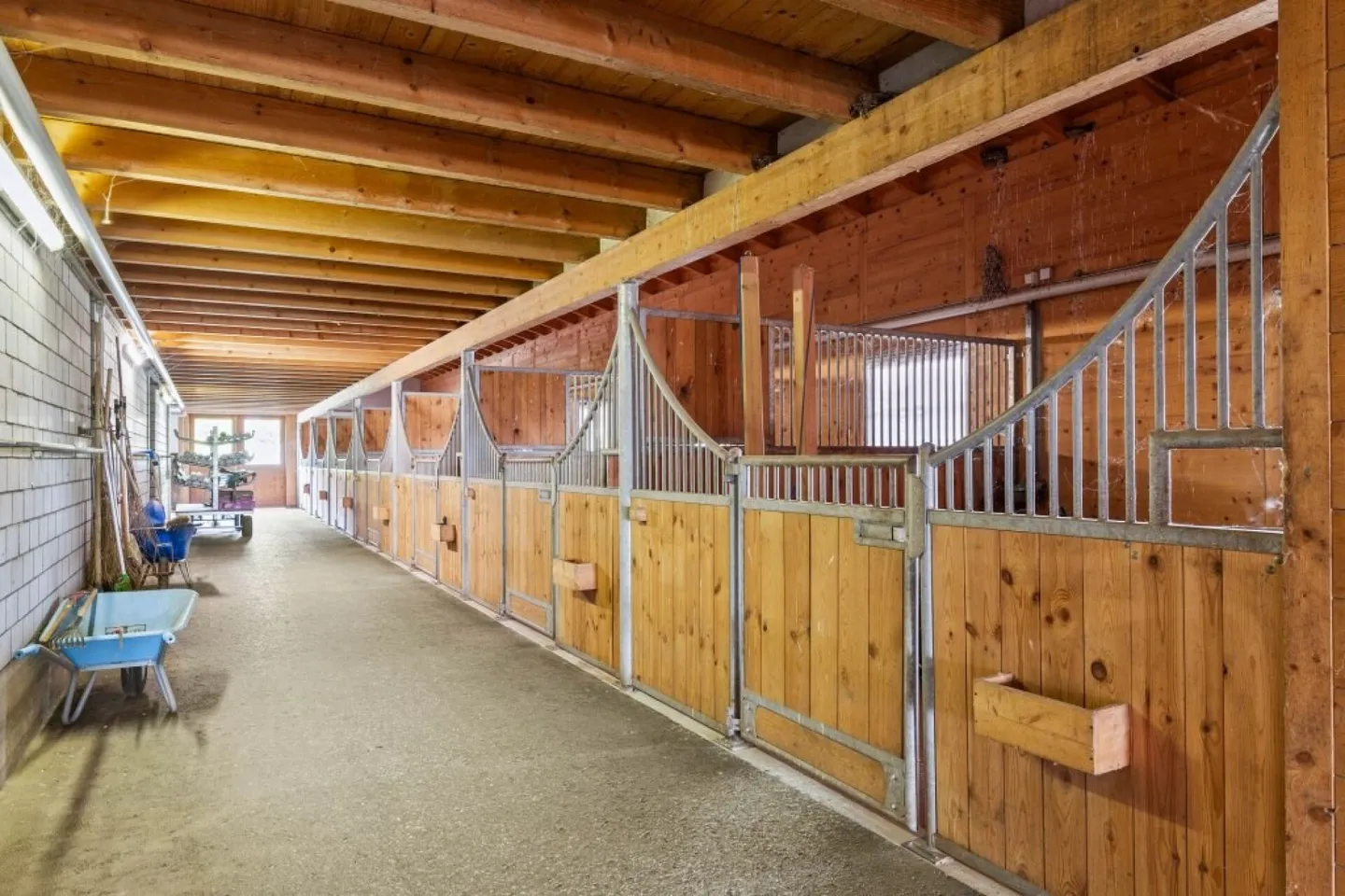 Proprietà equestre unica e seminari con cavalli - Foto 2 di 18