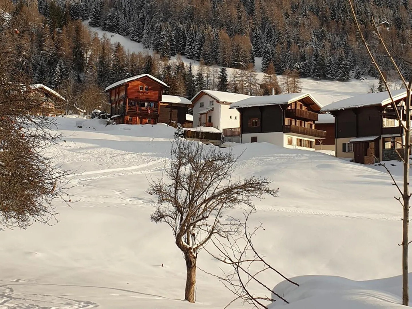 Gemütliches Walliser Chalet mit zwei Wohnungen in Mühlebach - Foto 19 von 25