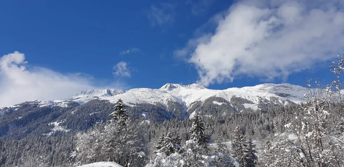 Gemütliches Walliser Chalet mit zwei Wohnungen in Mühlebach - Foto 21 von 25