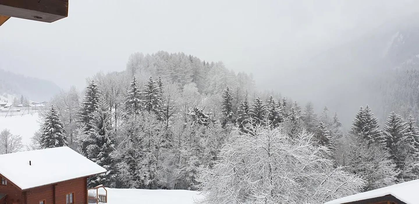 Gemütliches Walliser Chalet mit zwei Wohnungen in Mühlebach - Foto 22 von 25