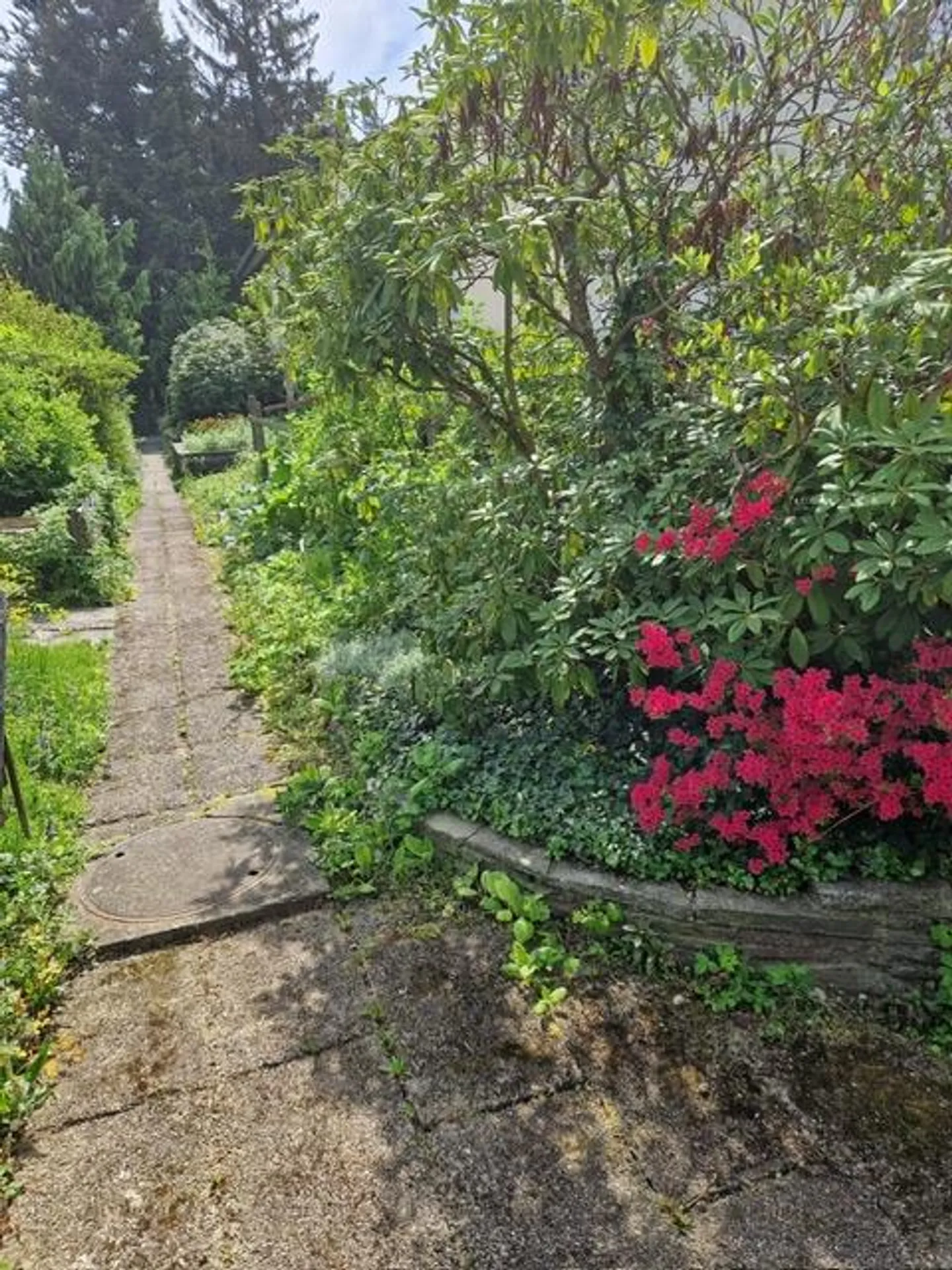 Casa in un vicolo cieco tranquillo - Foto 2 di 9