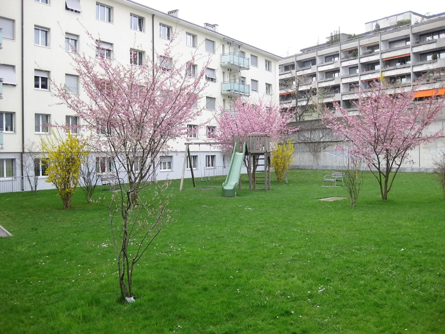 Nel cuore di Länggasse - Foto 2 di 5