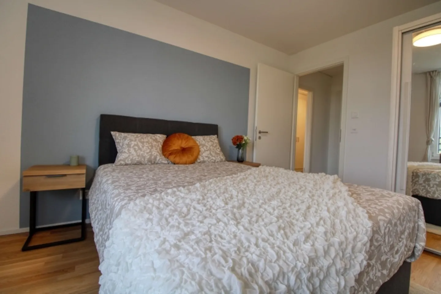 Spacious Living Apartment in Crissier with Private En-Suite Bathroom - Photo 6 of 13