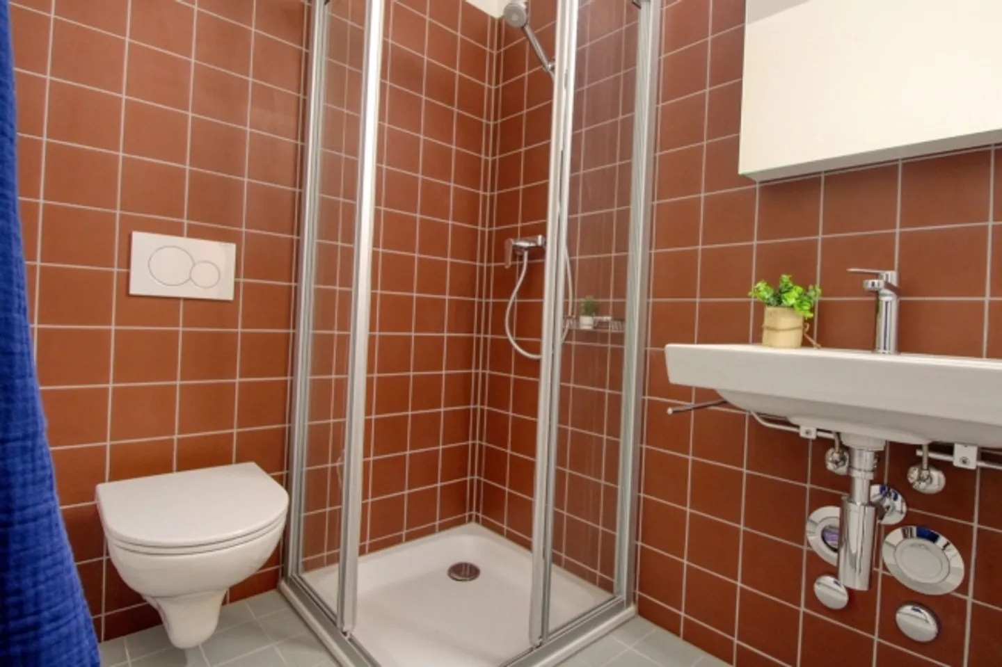 Spacious Living Apartment in Crissier with Private En-Suite Bathroom - Photo 8 of 13