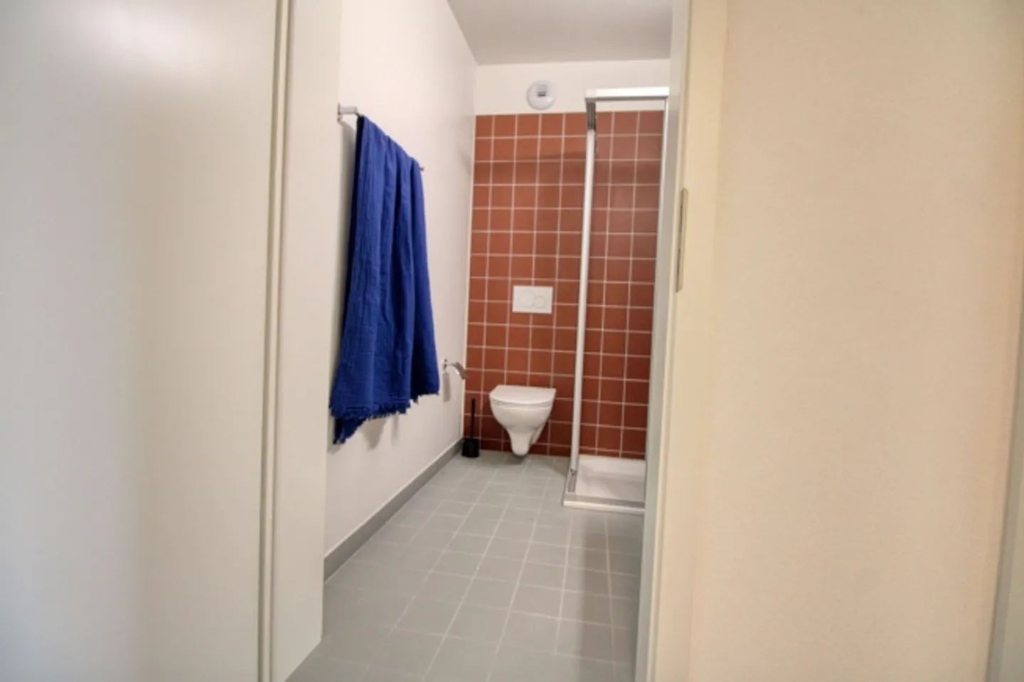 Spacious Living Apartment in Crissier with Private En-Suite Bathroom - Photo 11 of 13