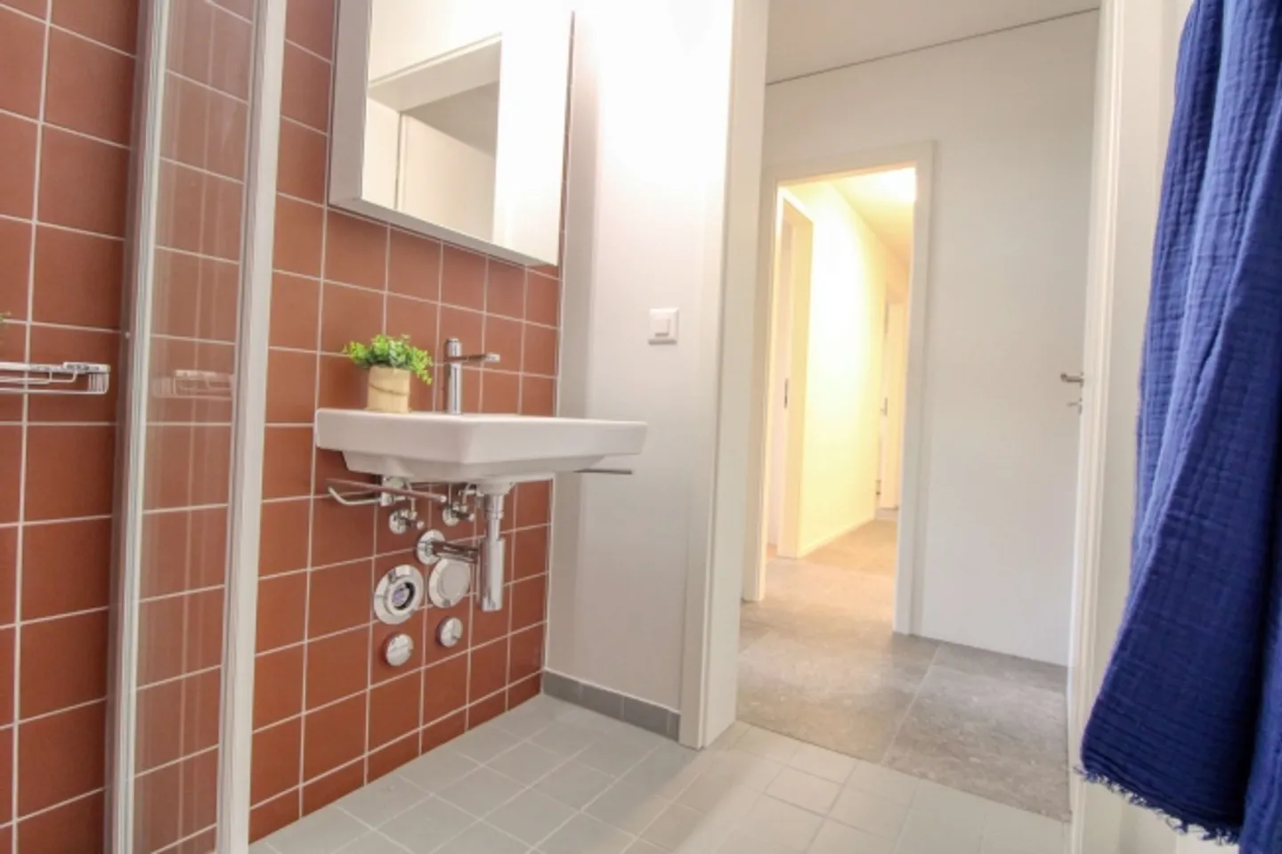 Spacious Living Apartment in Crissier with Private En-Suite Bathroom - Photo 12 of 13