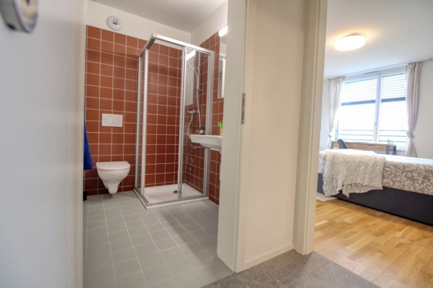 Spacious Living Apartment in Crissier with Private En-Suite Bathroom - Photo 13 of 13